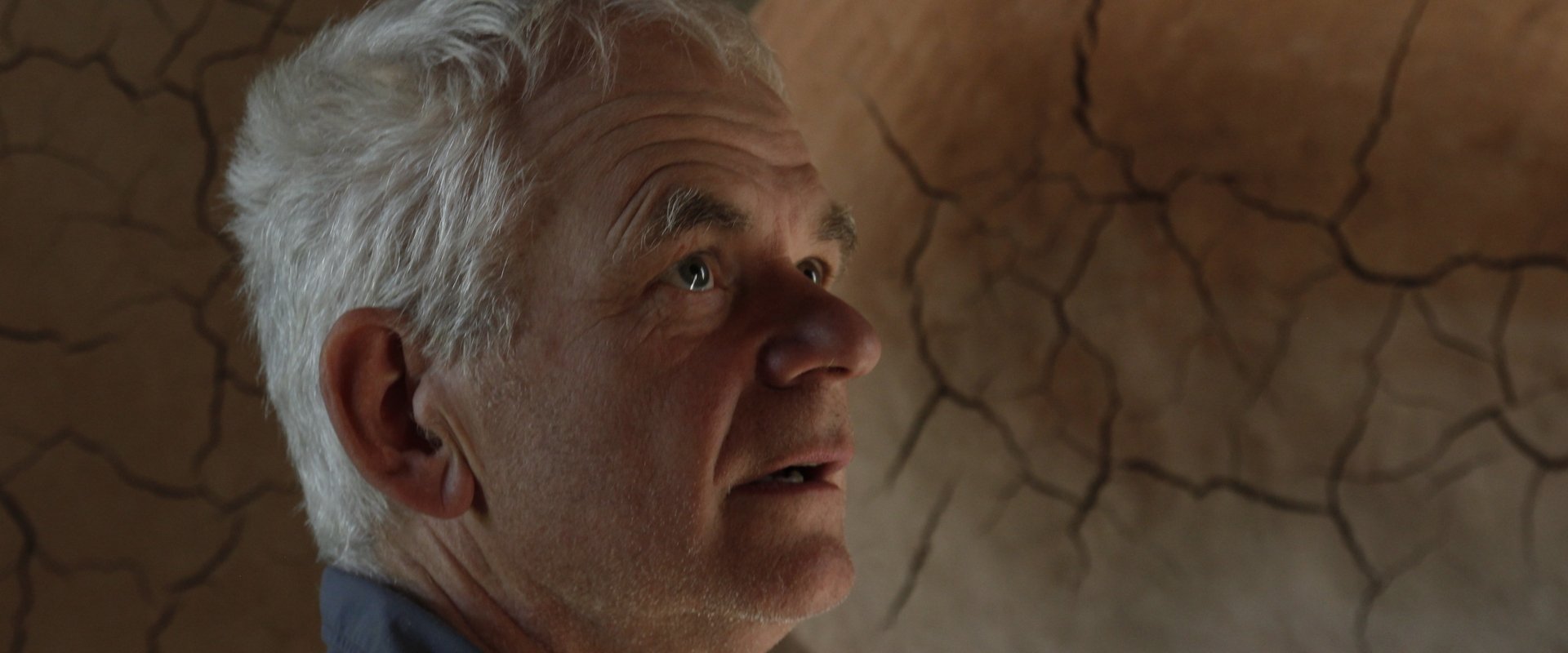 Leaning Into the Wind: Andy Goldsworthy