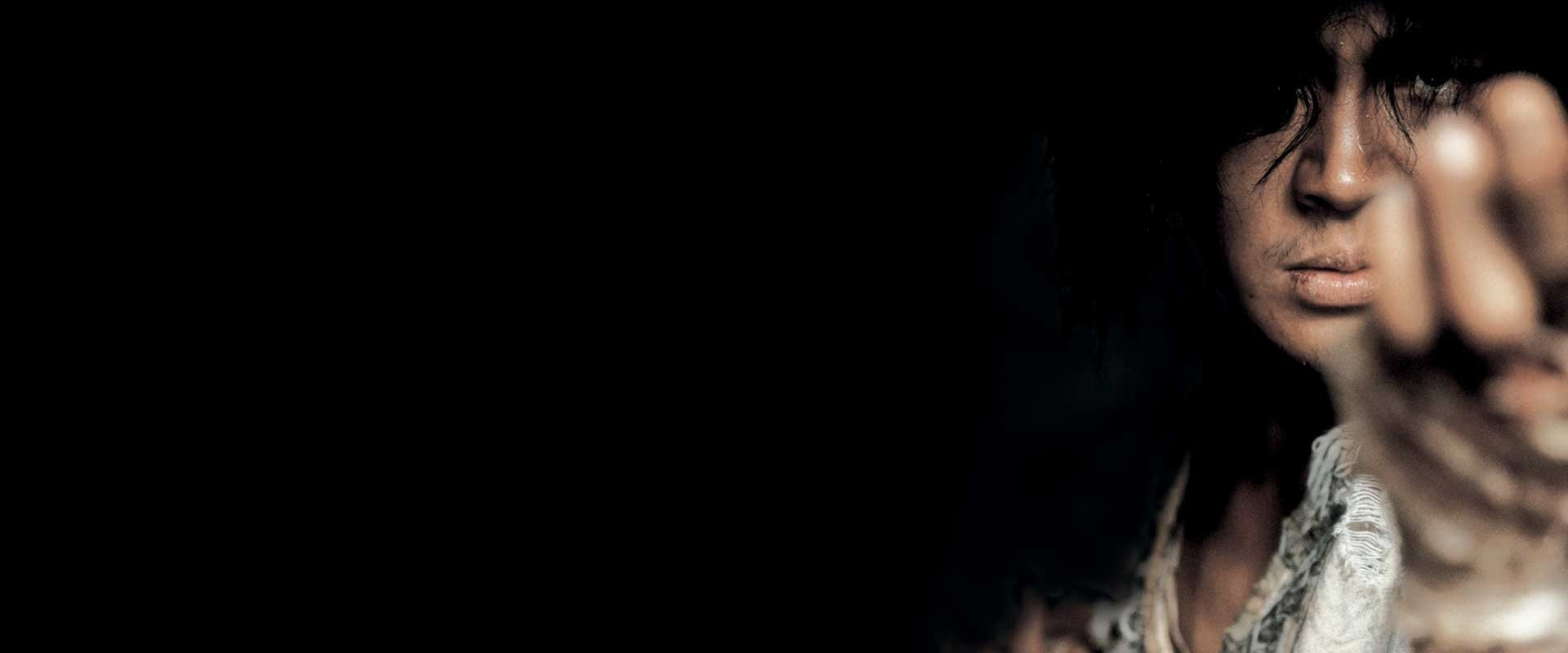 Fighter in the Wind's banner image