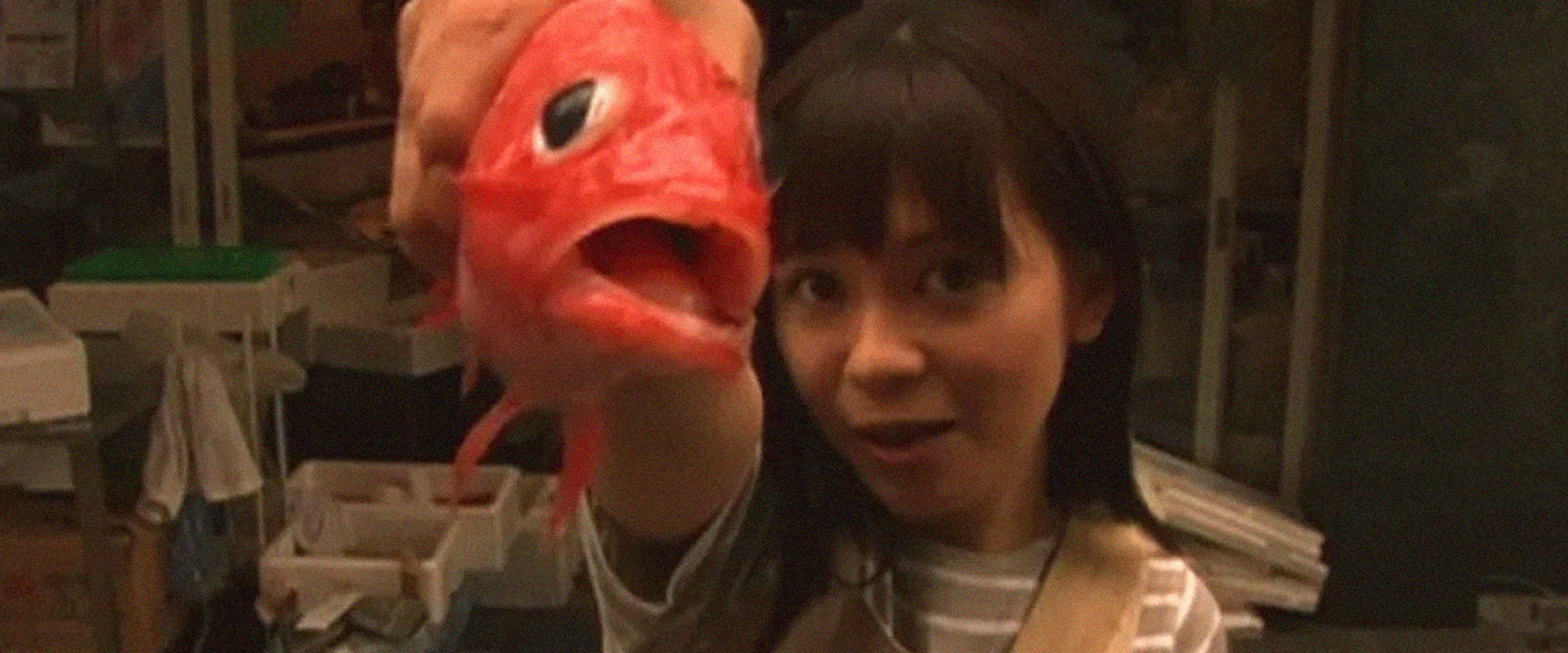 Lizard Baby's banner image