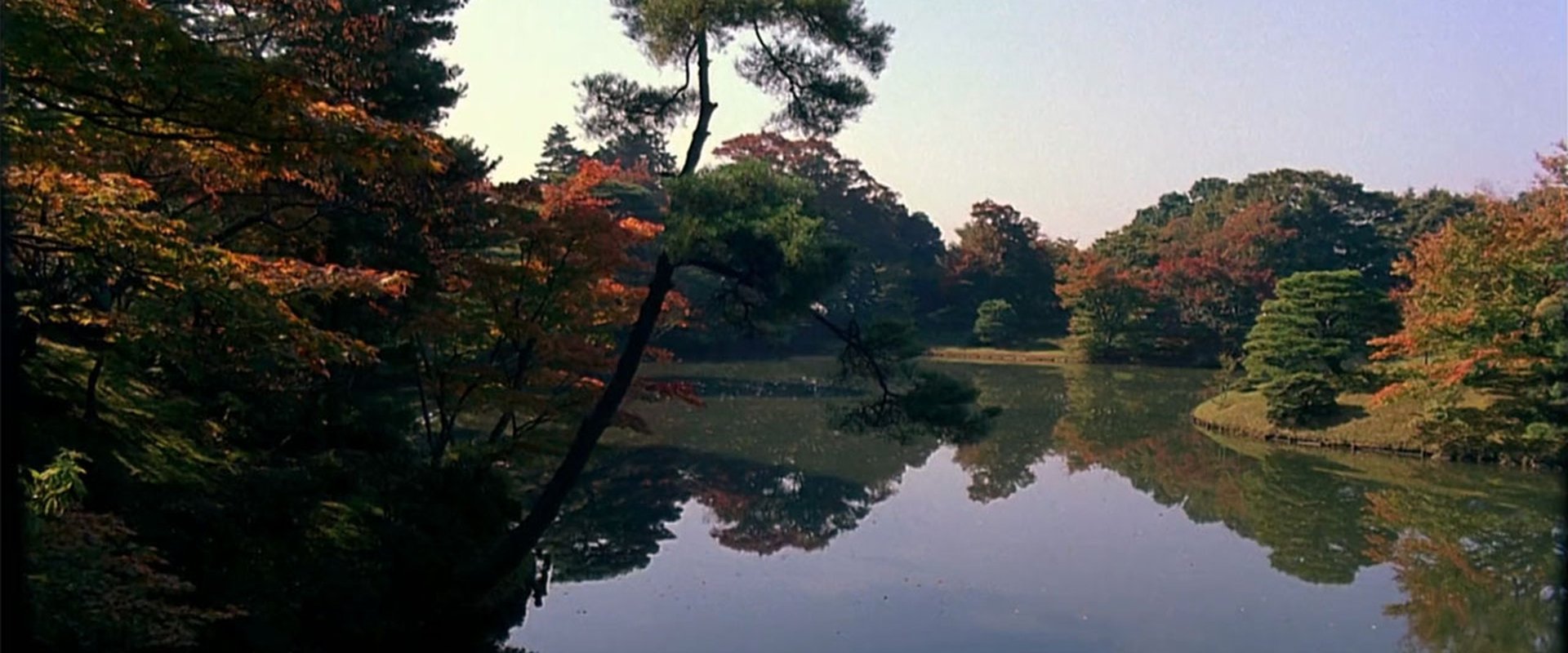 Dream Window: Reflections on the Japanese Garden