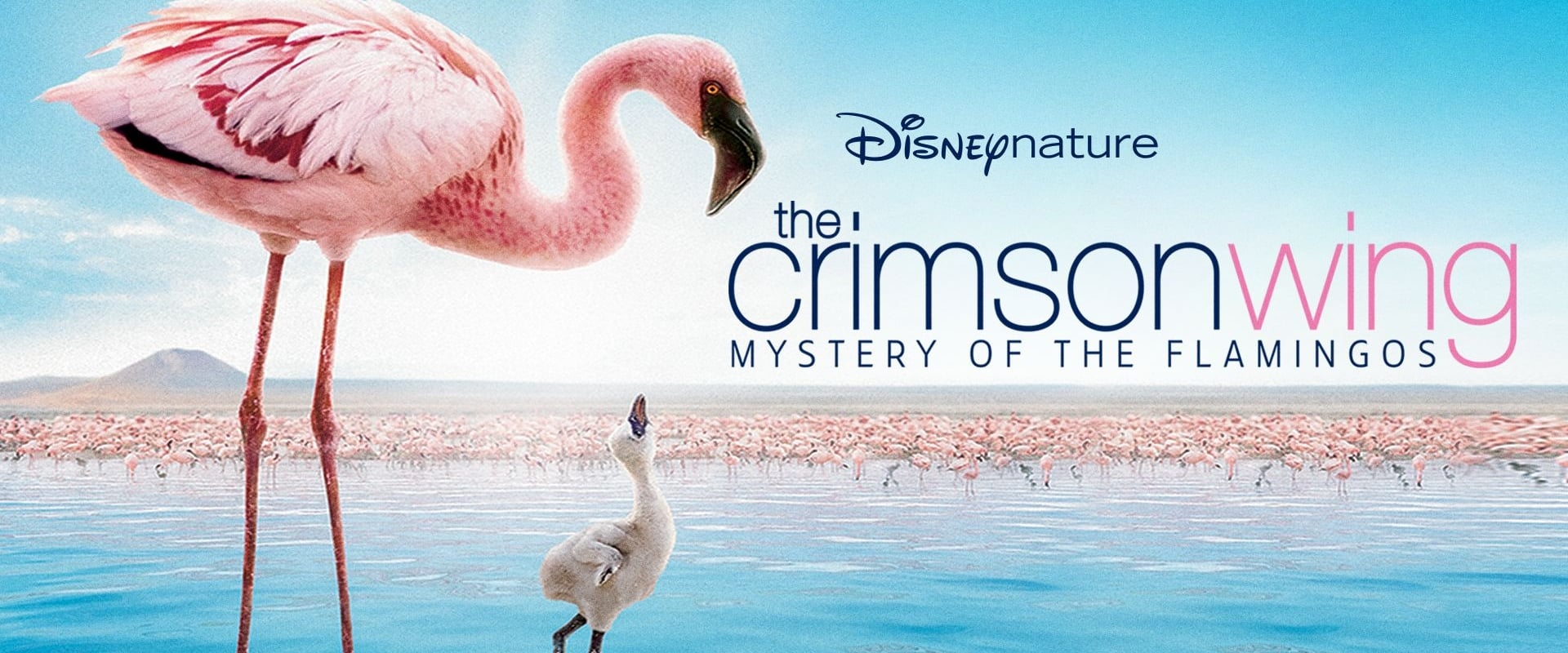 The Crimson Wing: Mystery of the Flamingos