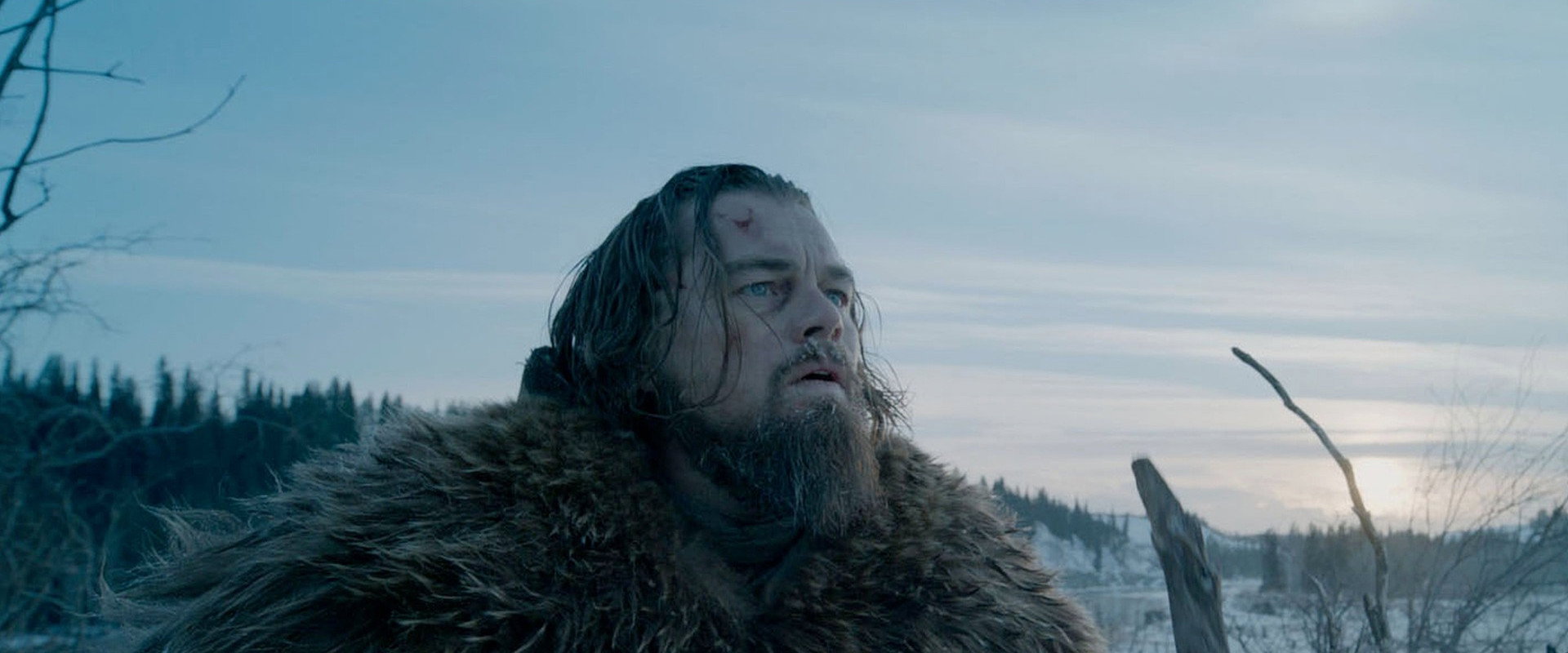 The Revenant's banner image