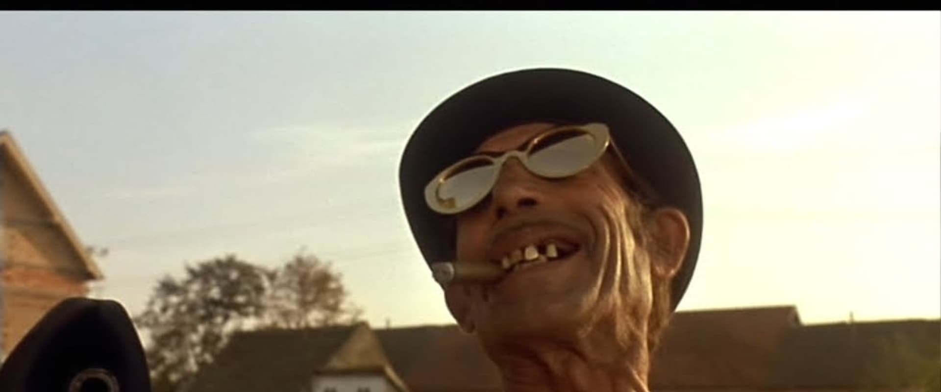 Crna mačka, beli mačor