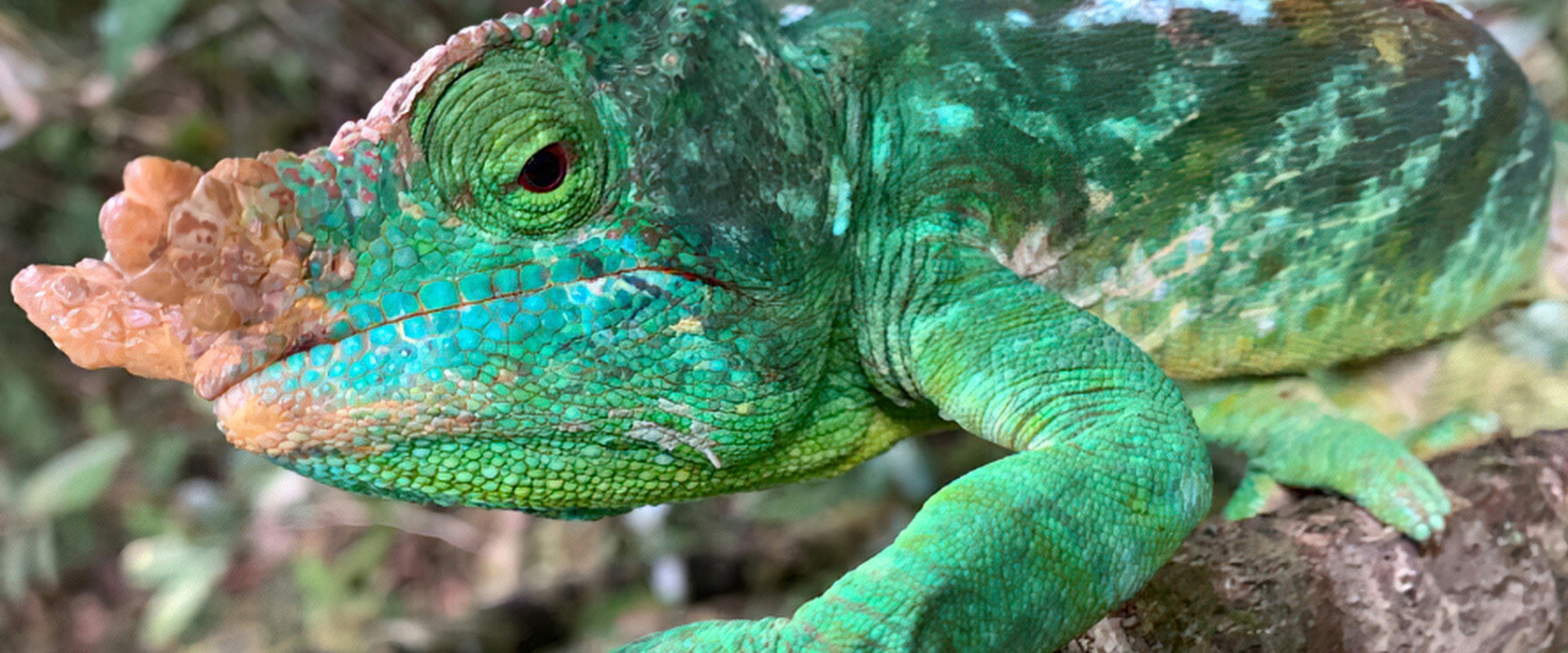 Unbekanntes Madagaskar