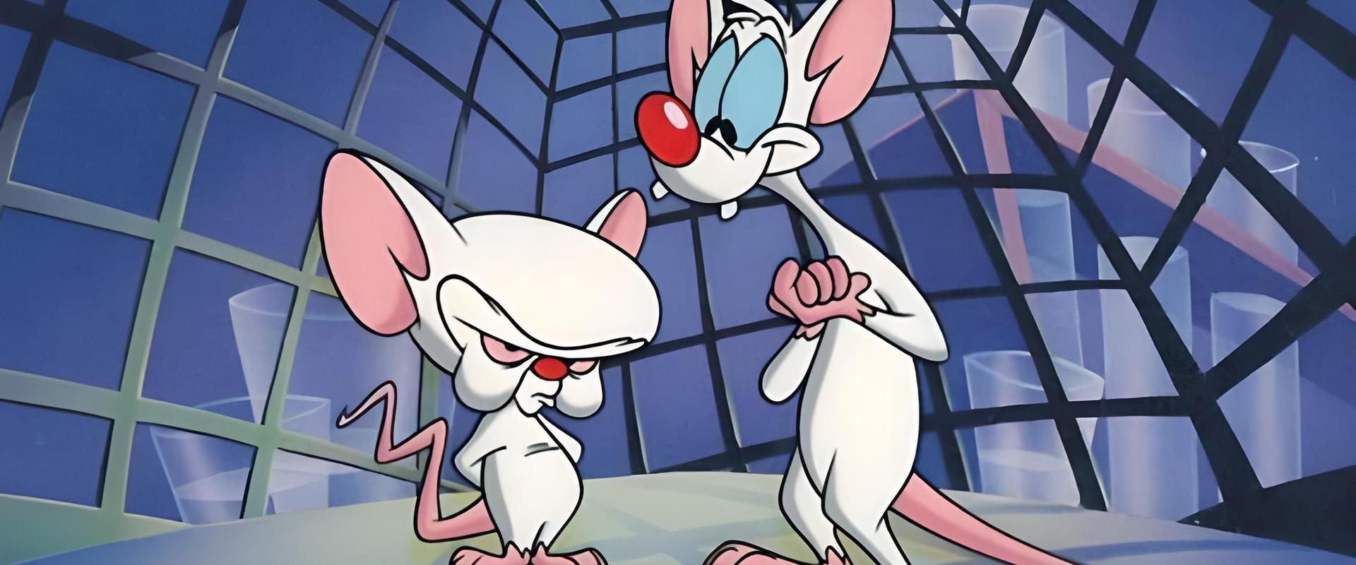 Pinky and the Brain