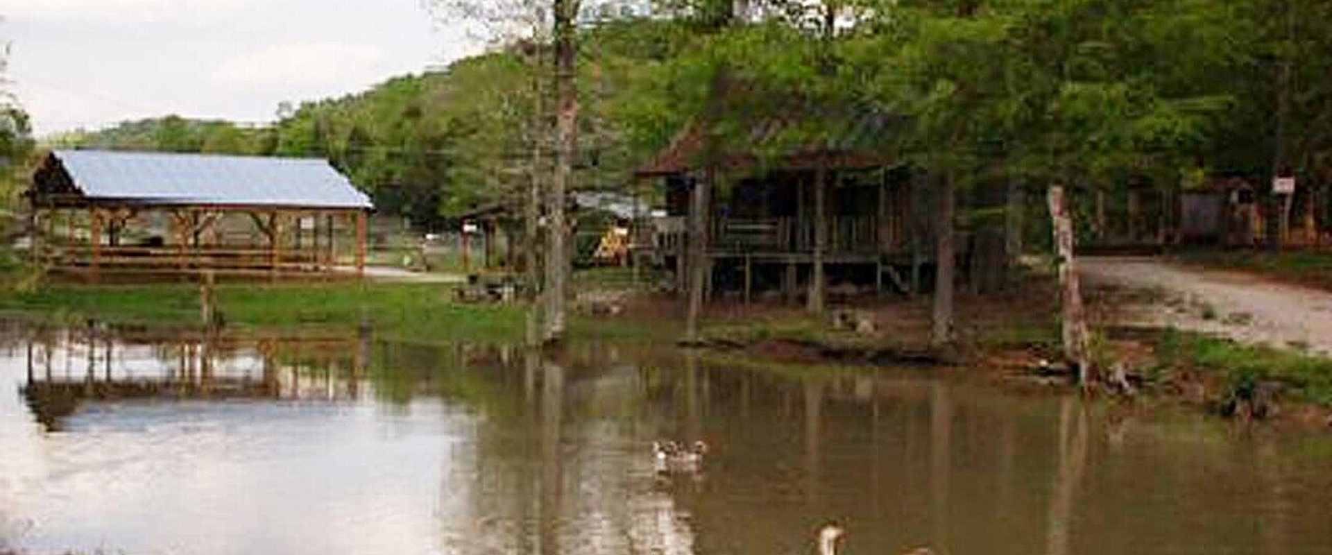 The Little Ponderosa Zoo