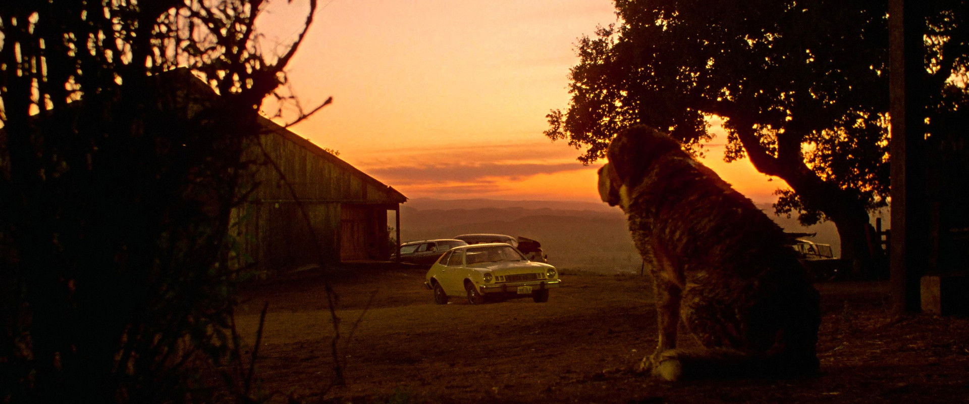 Cujo's banner image