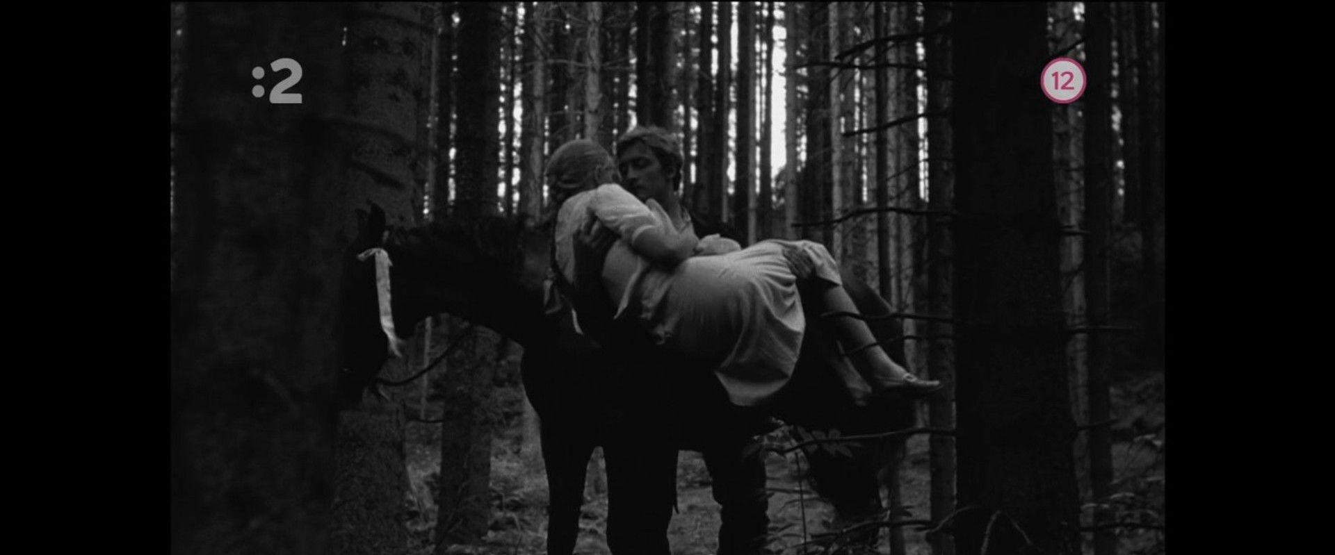 Three Chestnut Horses's banner image