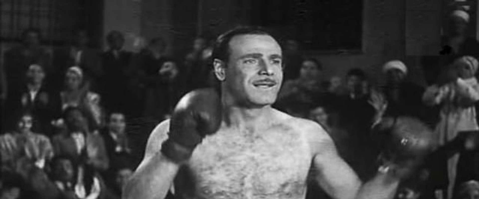 Al Montaser's banner image