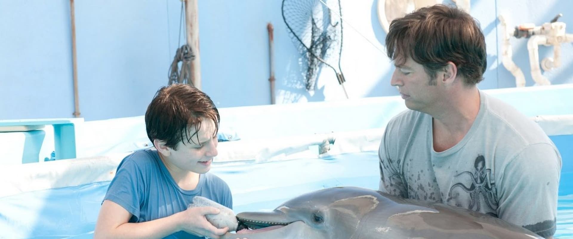 Dolphin Tale