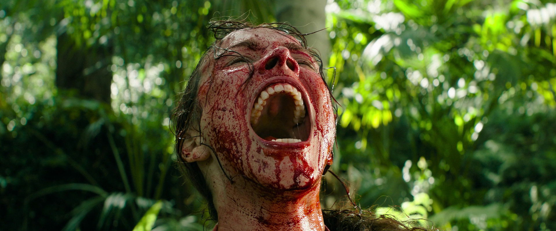 Send Help's banner image