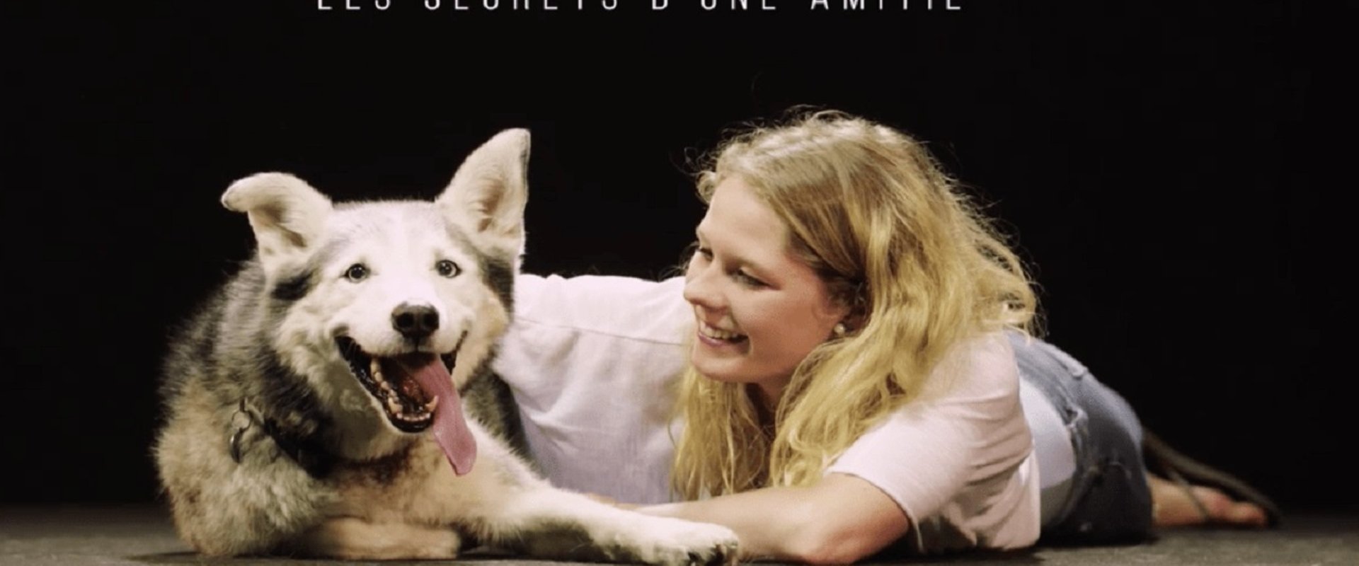 Dogs and Us: The Secret of a Friendship