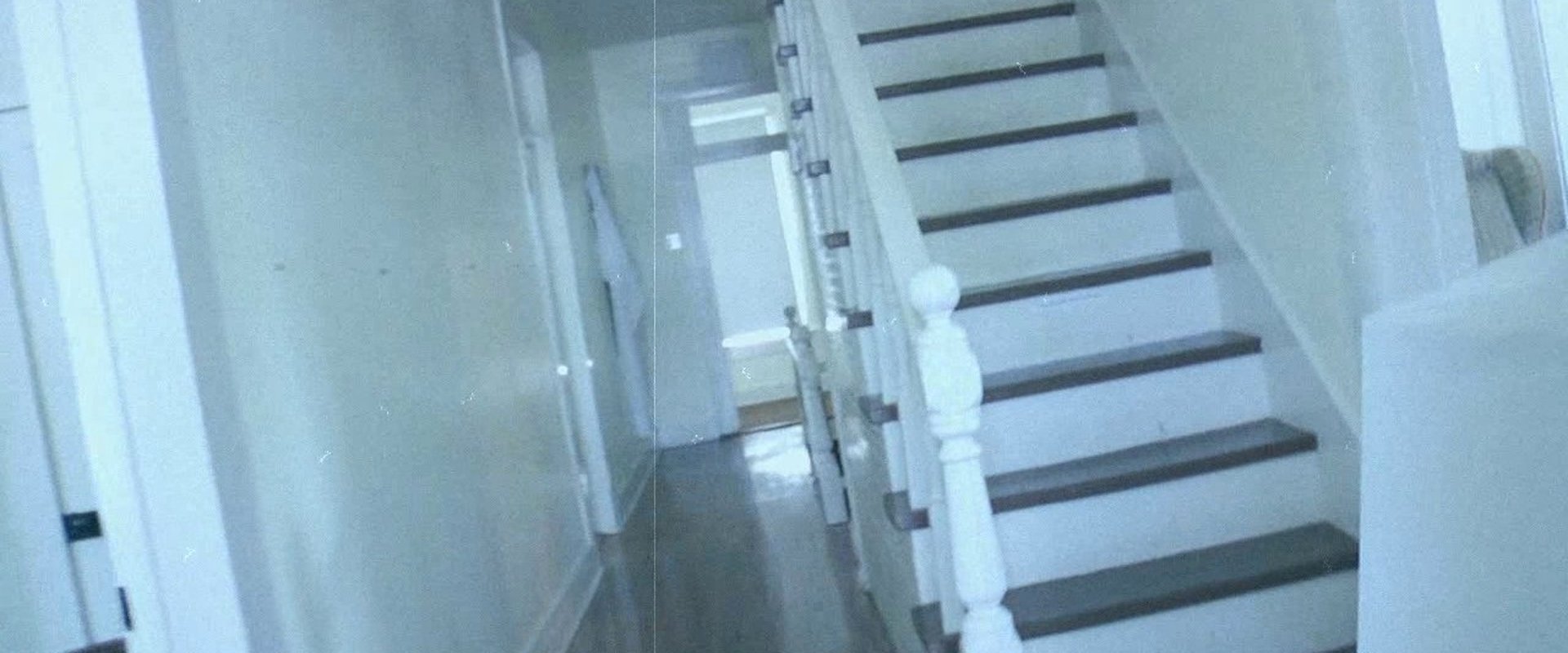 It Lives in the Attic