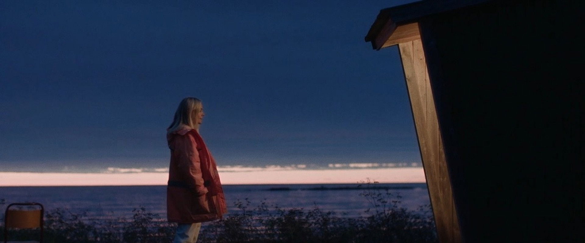 Tauba's banner image