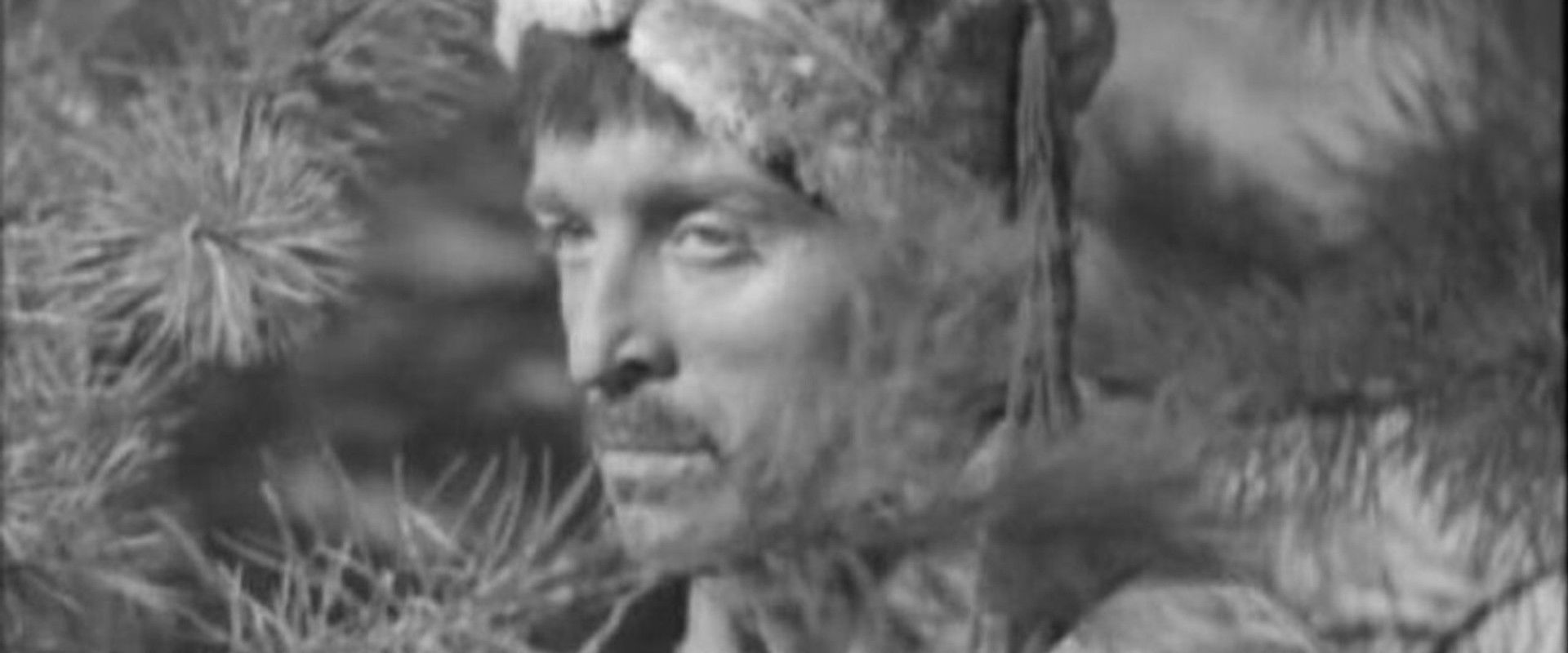 The Golden Lake's banner image