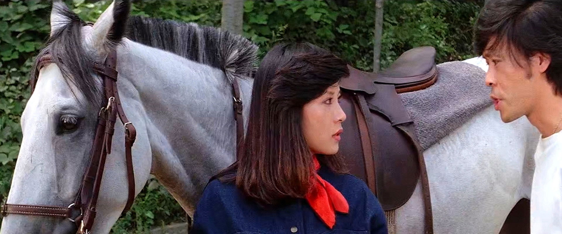 Red Cherry's banner image