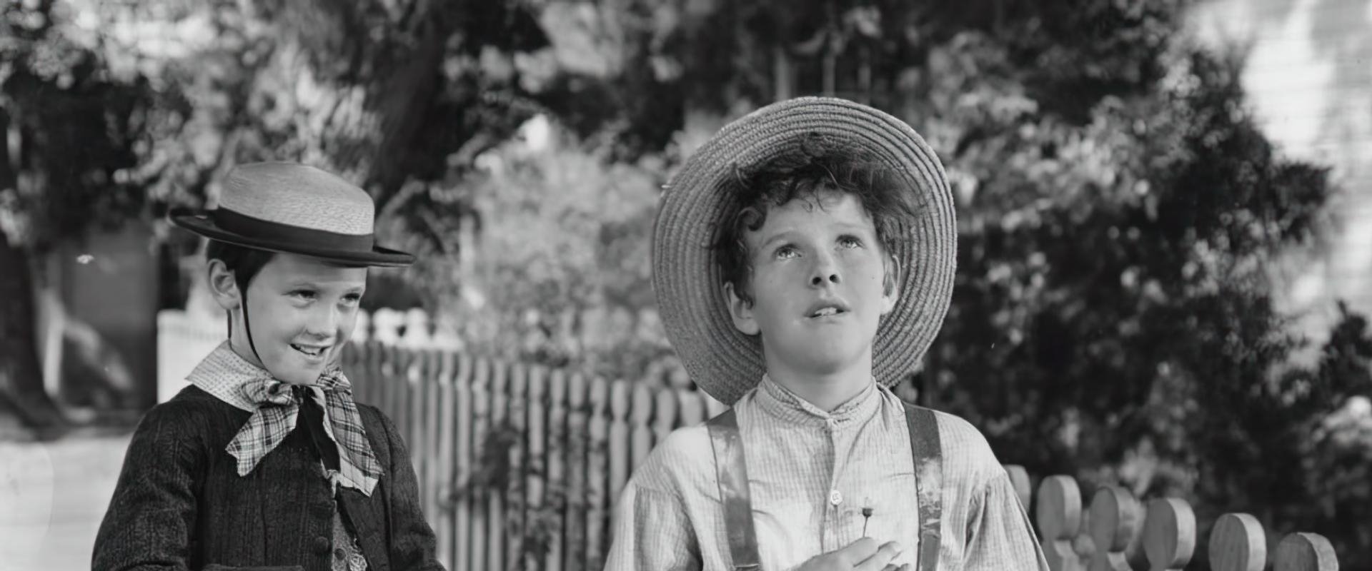 The Adventures of Tom Sawyer