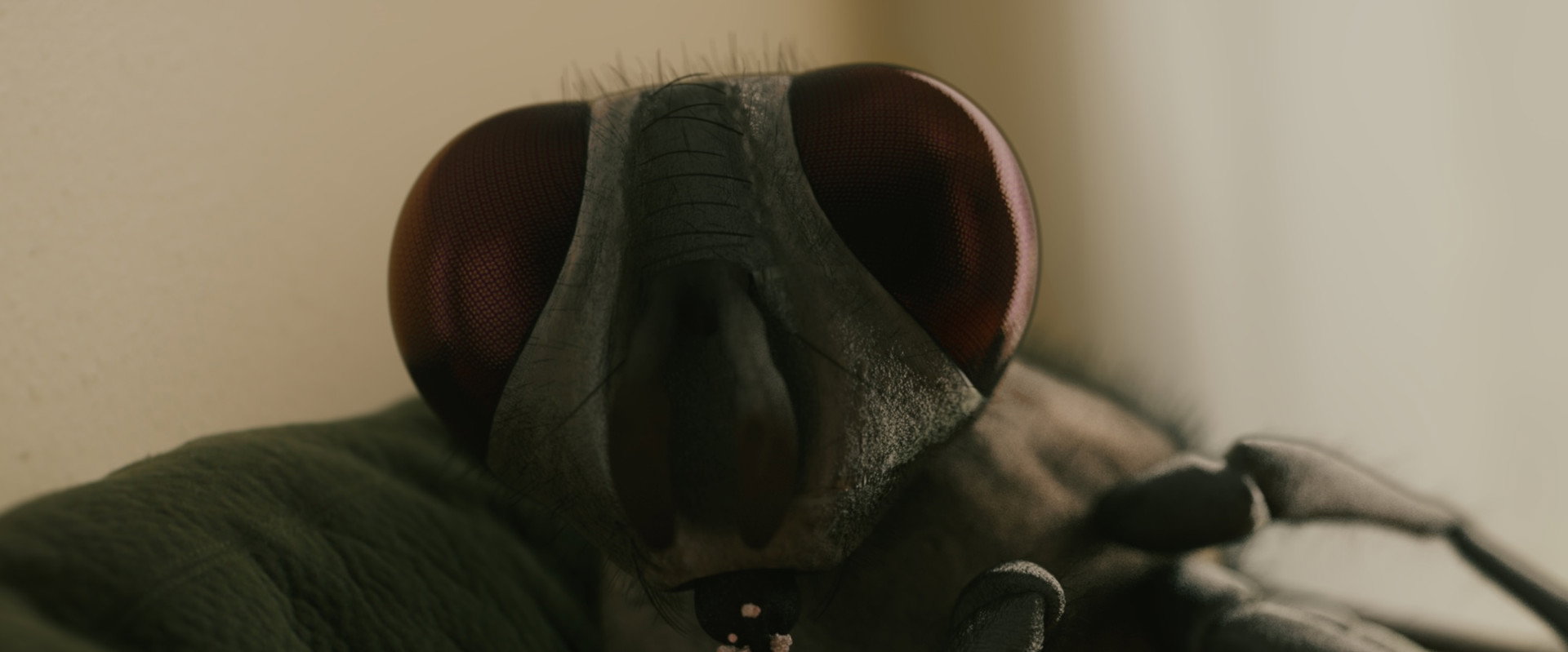 Buzz Off's banner image