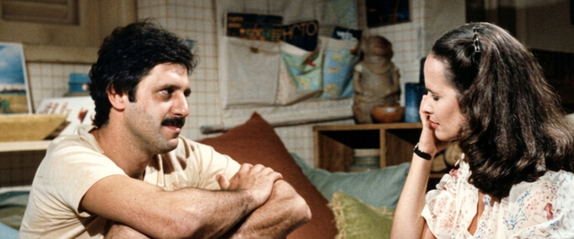 Amizade Colorida's banner image