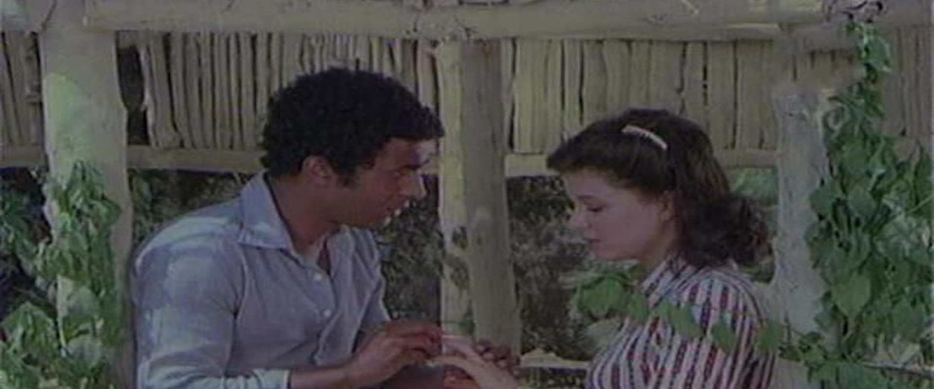 The Man Who Lost His Memory Twice