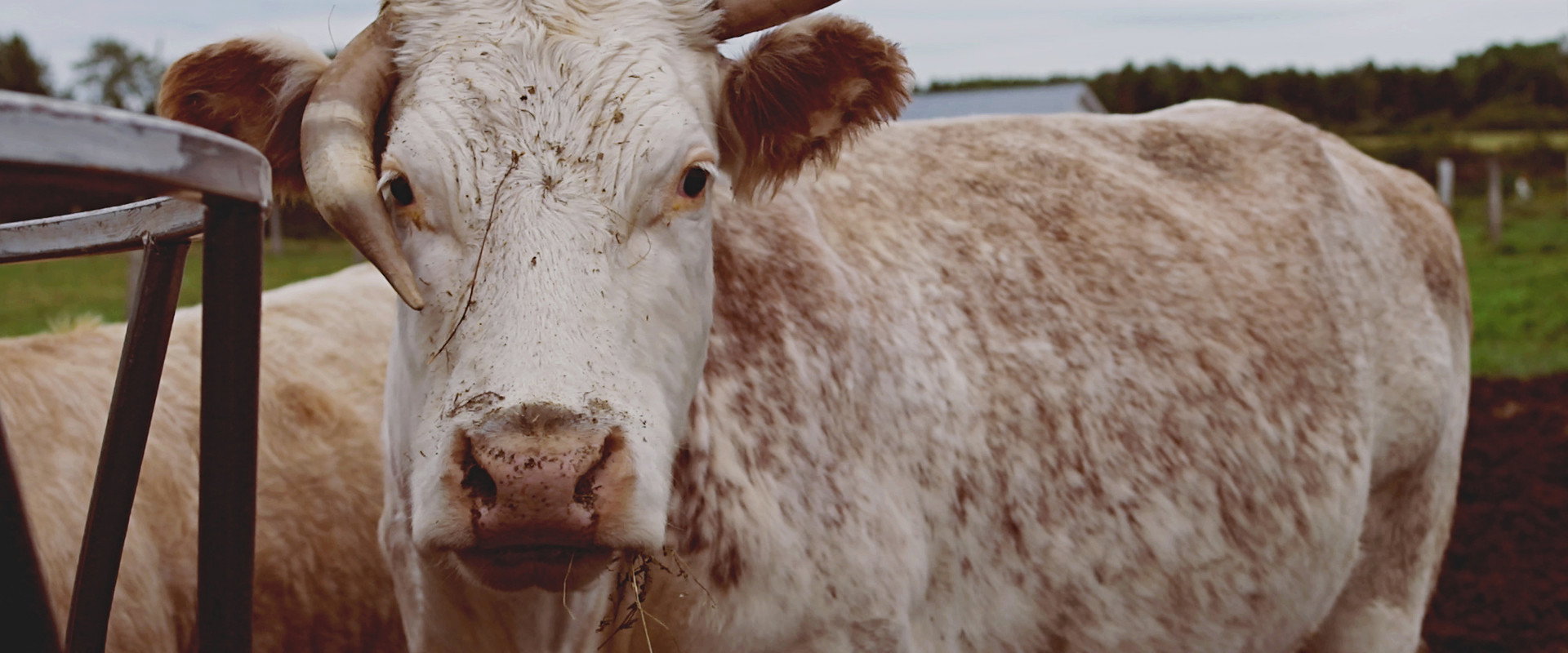 Garde-manger's banner image