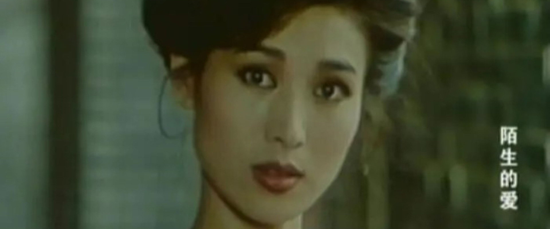 陌生的爱's banner image