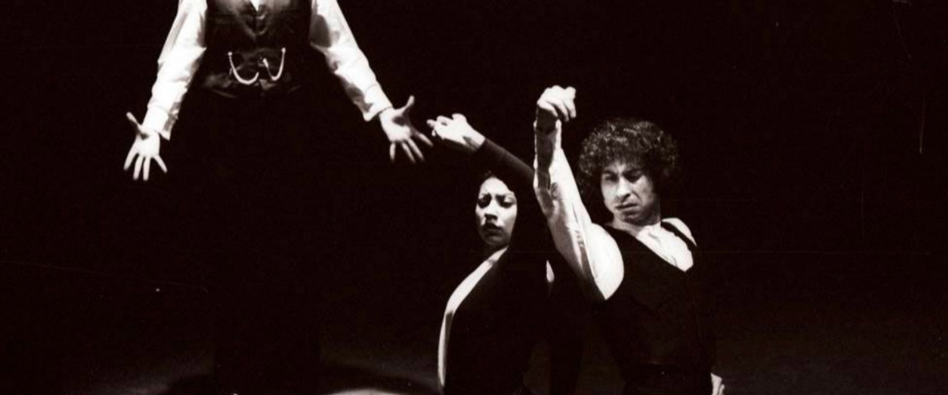 Camelamos naquerar's banner image