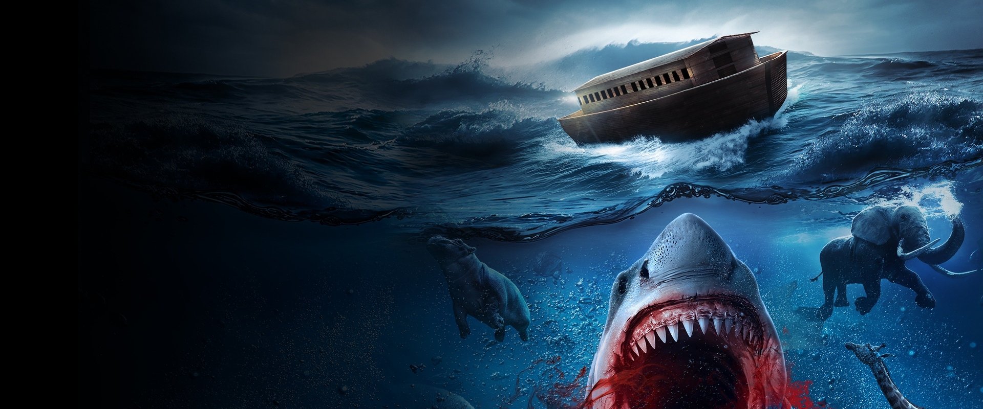 Noah’s Shark