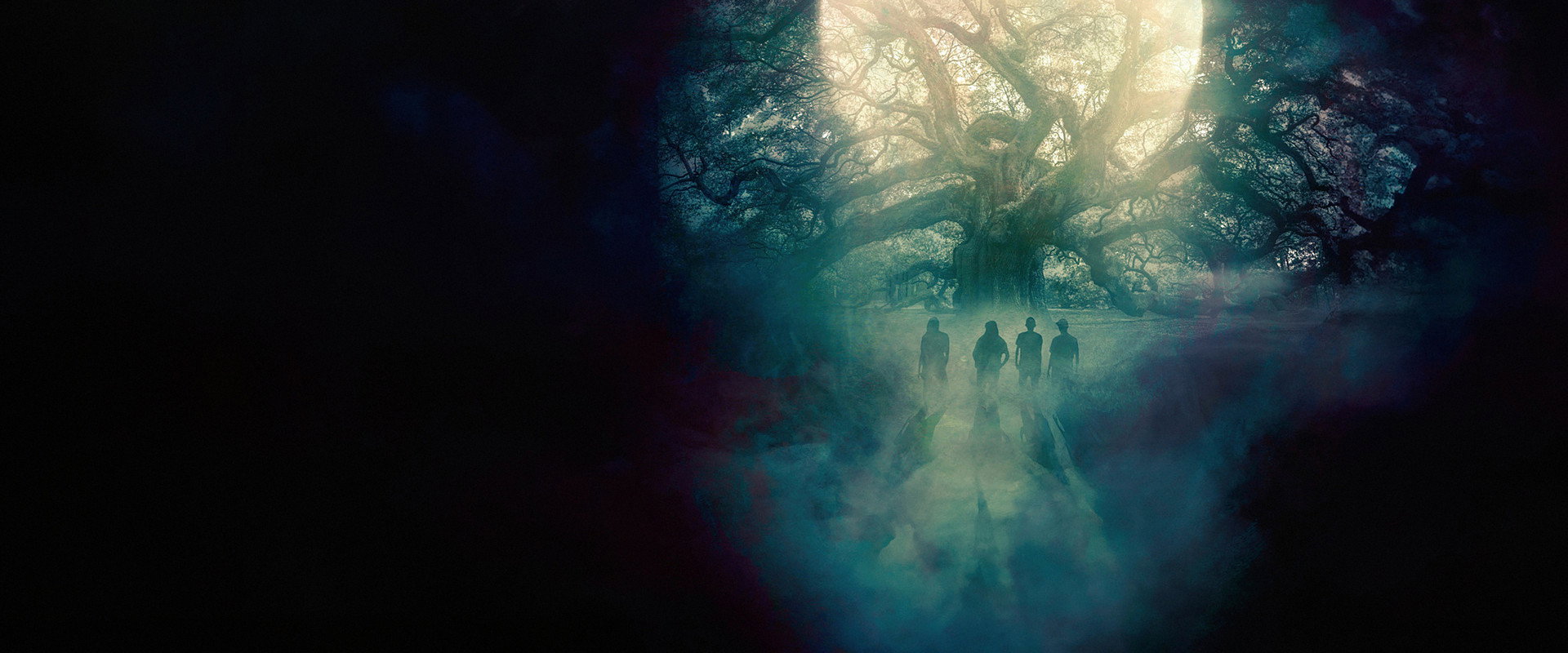 Oak — imagen panoramica