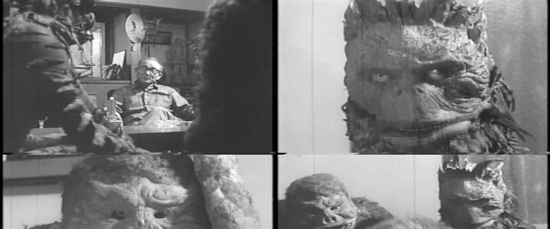 The Father of Ultra Q's banner image