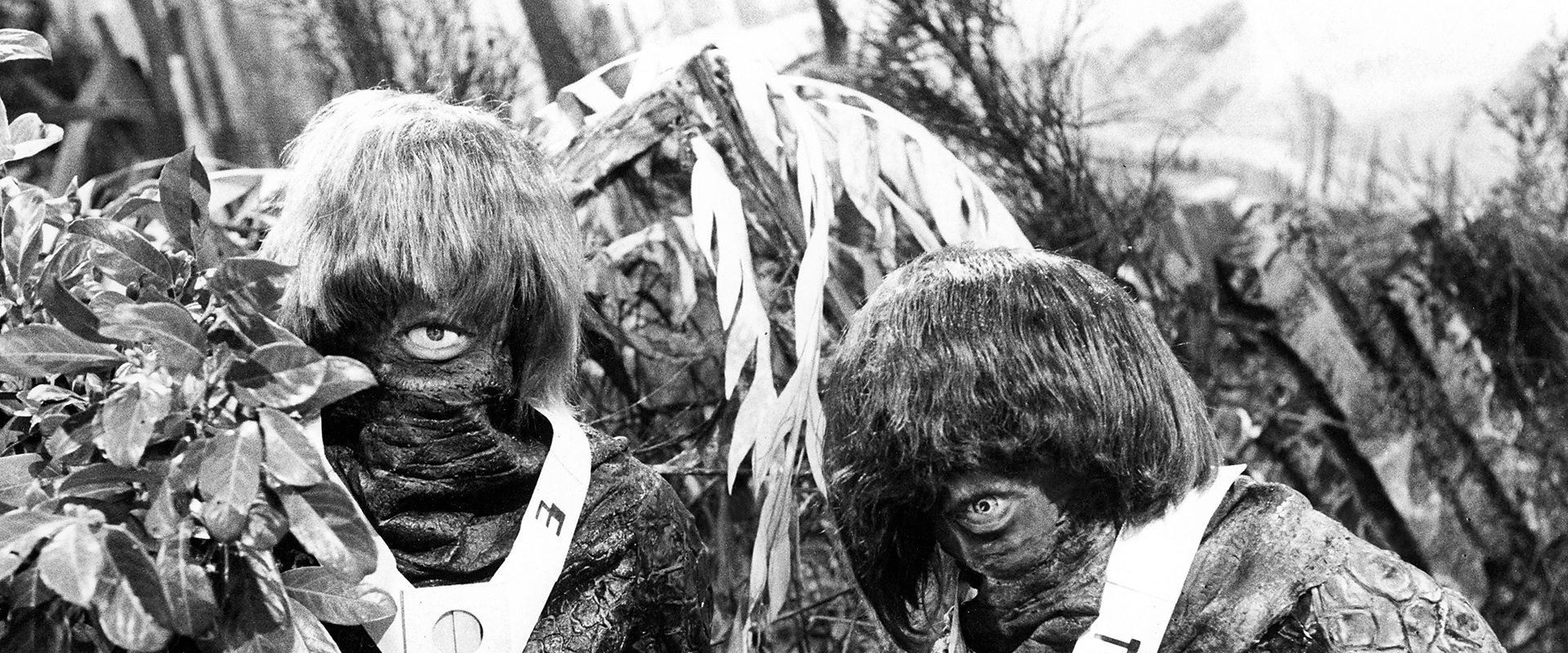 Doctor Who: The Ark's banner image