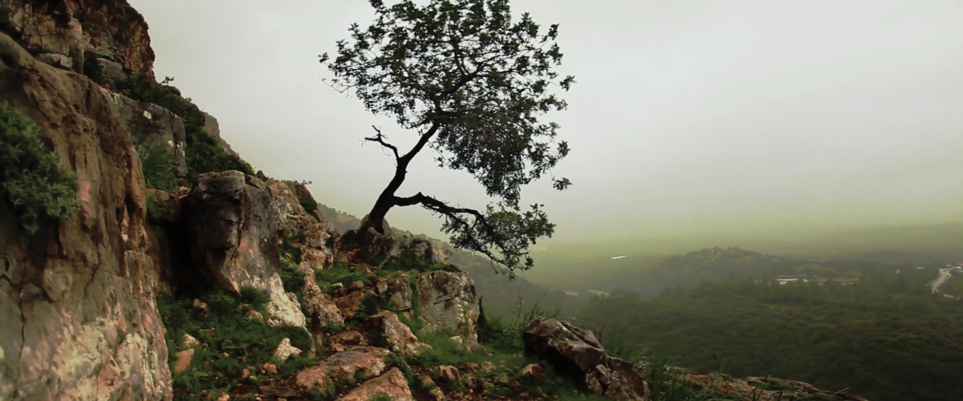 Is Mindfulness Right for You?