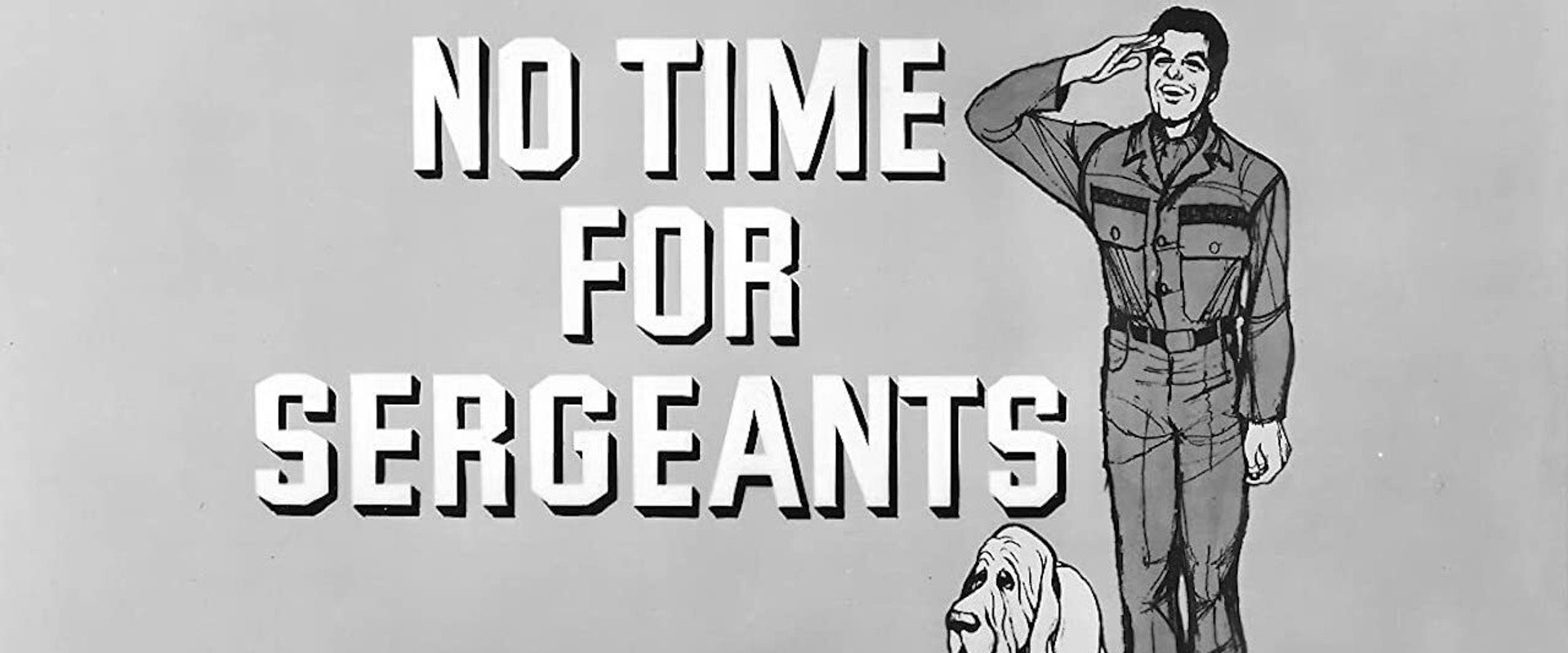 No Time for Sergeants's banner image