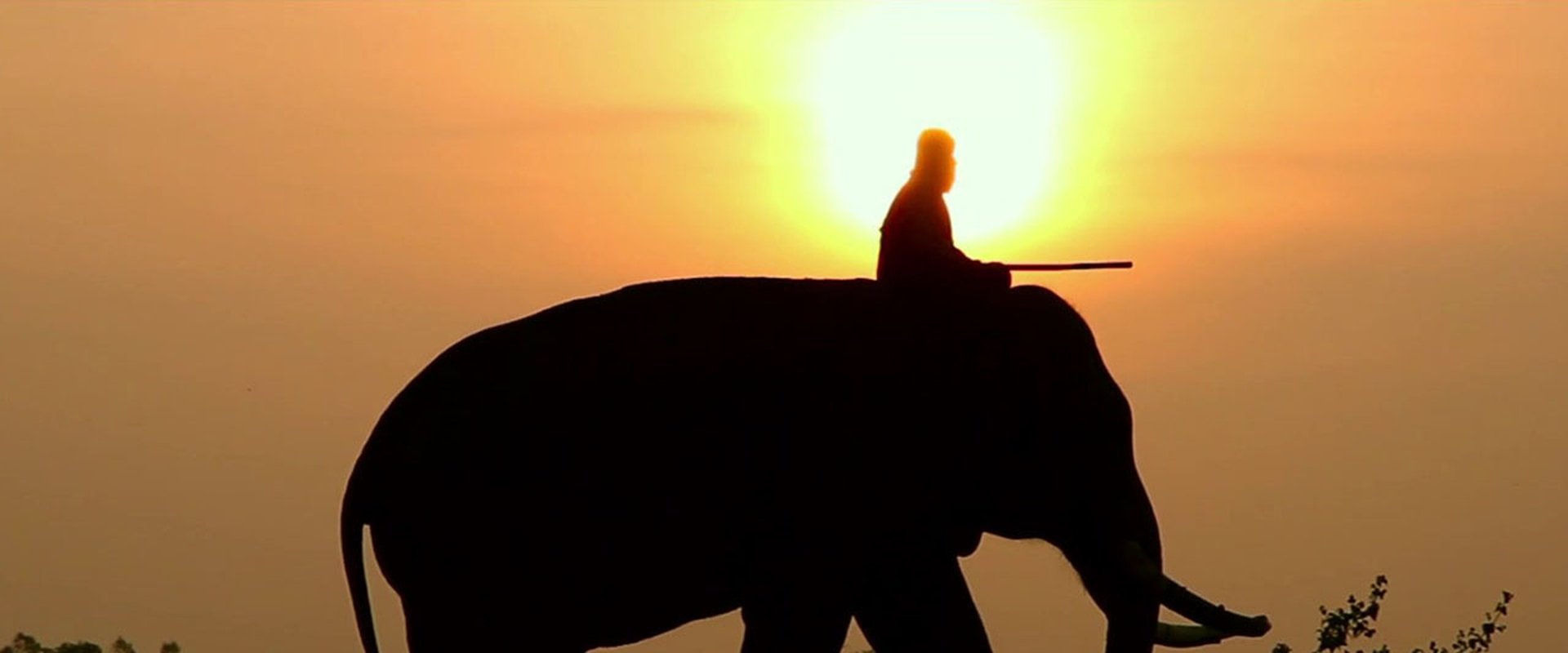 When Elephants Were Young