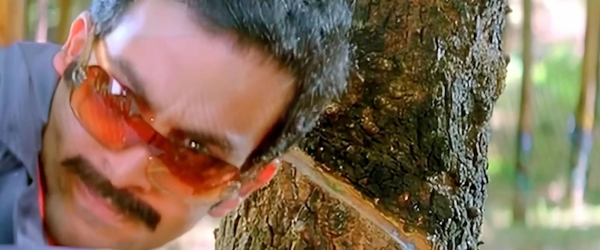 Calendar's banner image