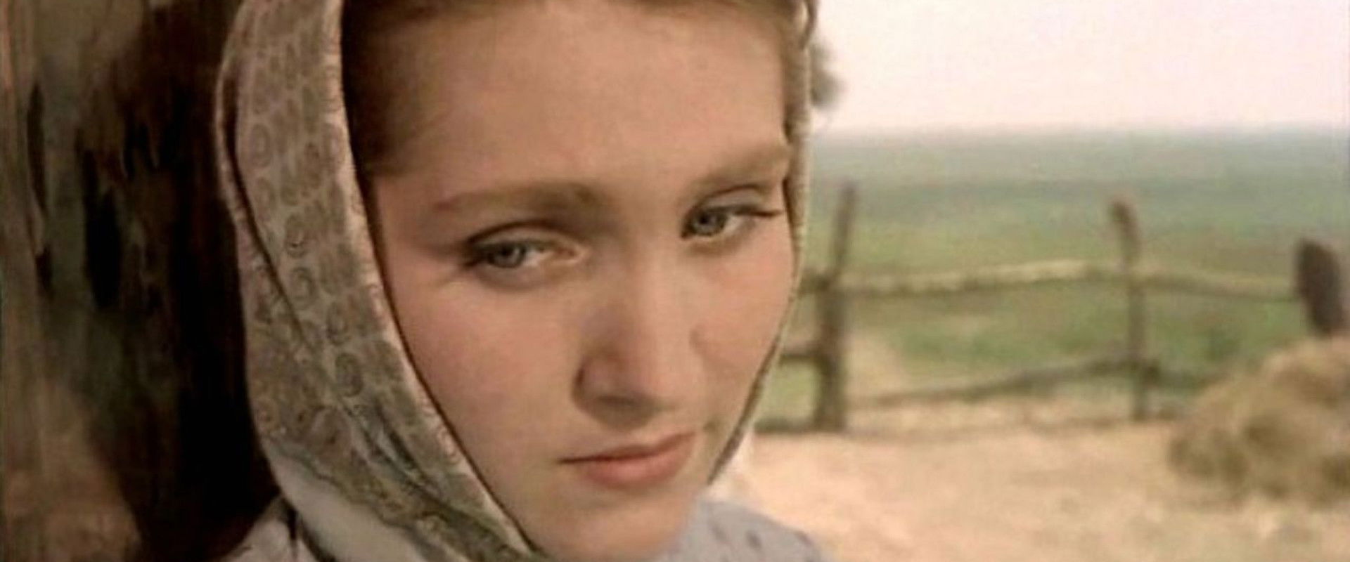 Hard Happiness's banner image