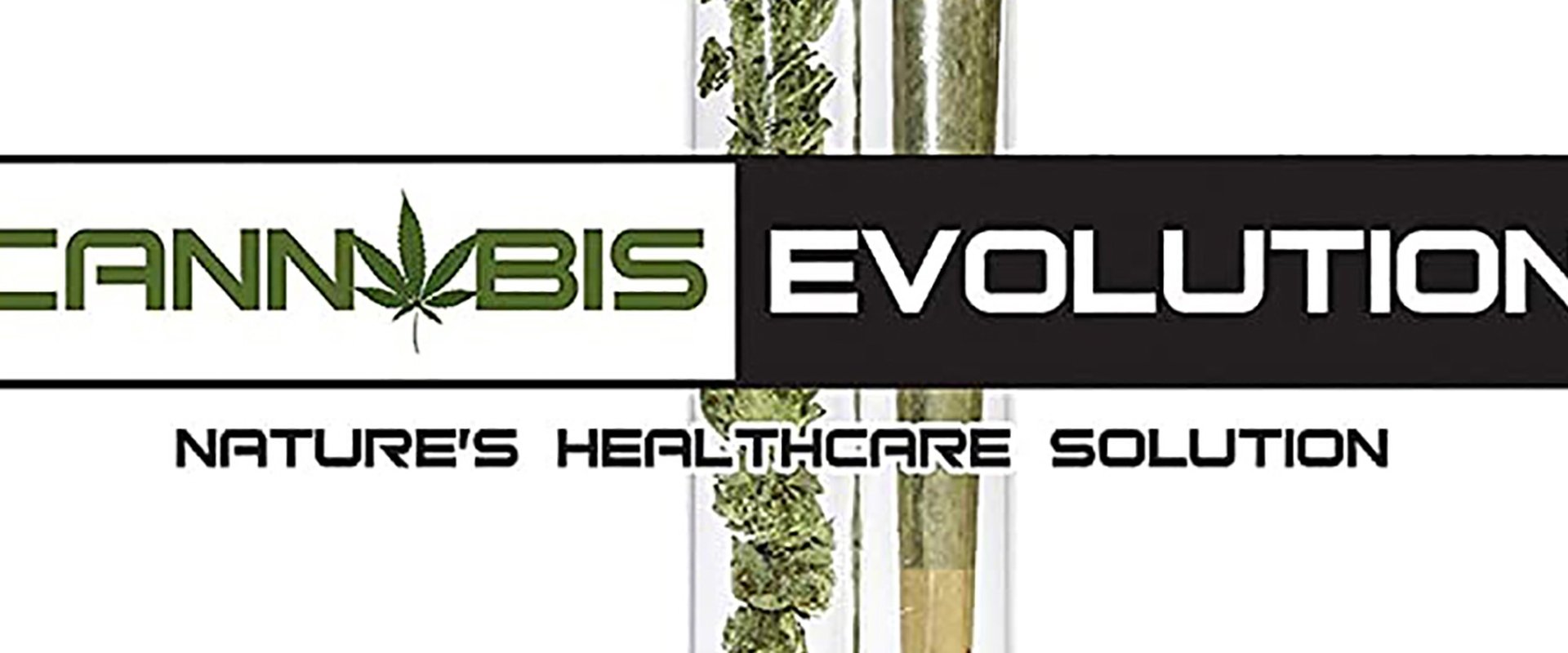 Cannabis Evolution