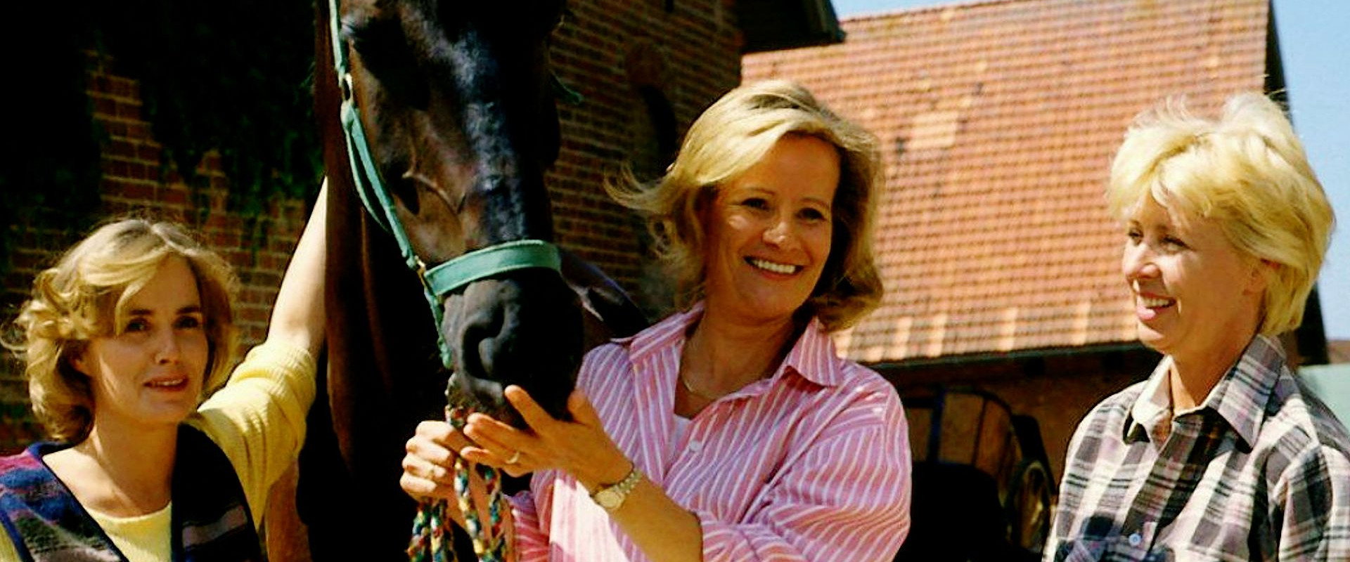 Immenhof's banner image