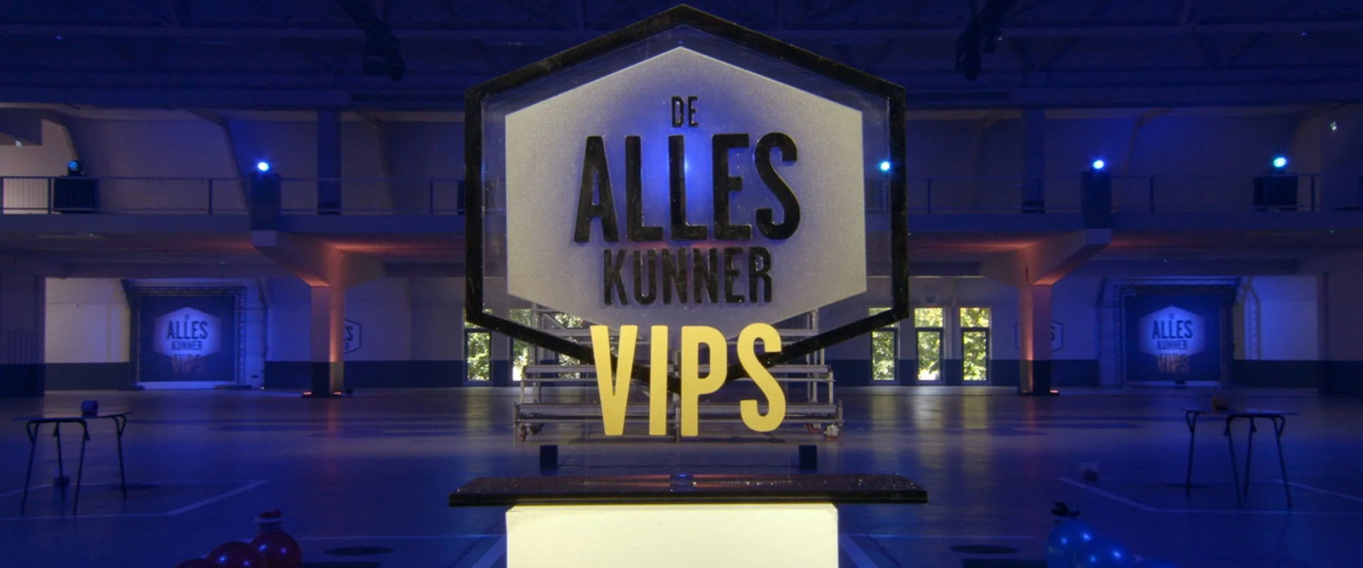 De Alleskunner VIPS
