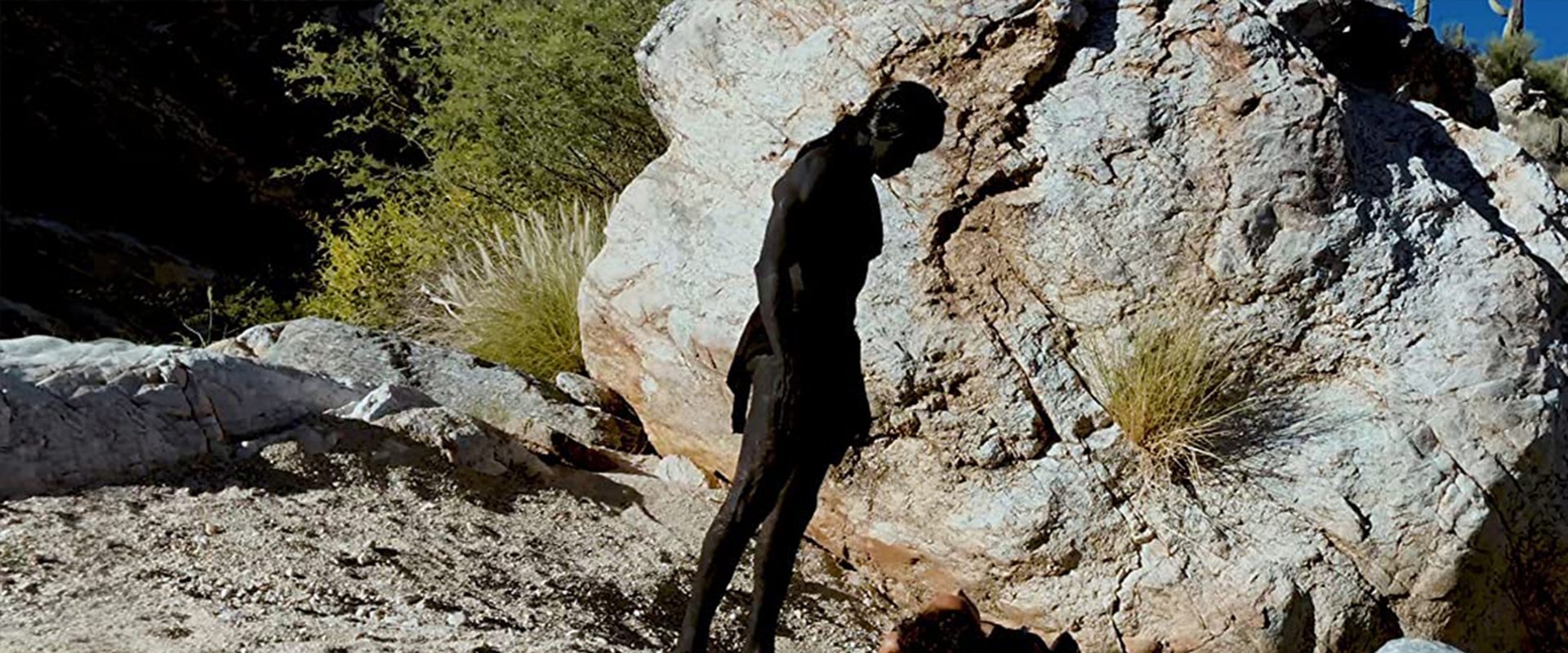 Dark Figures