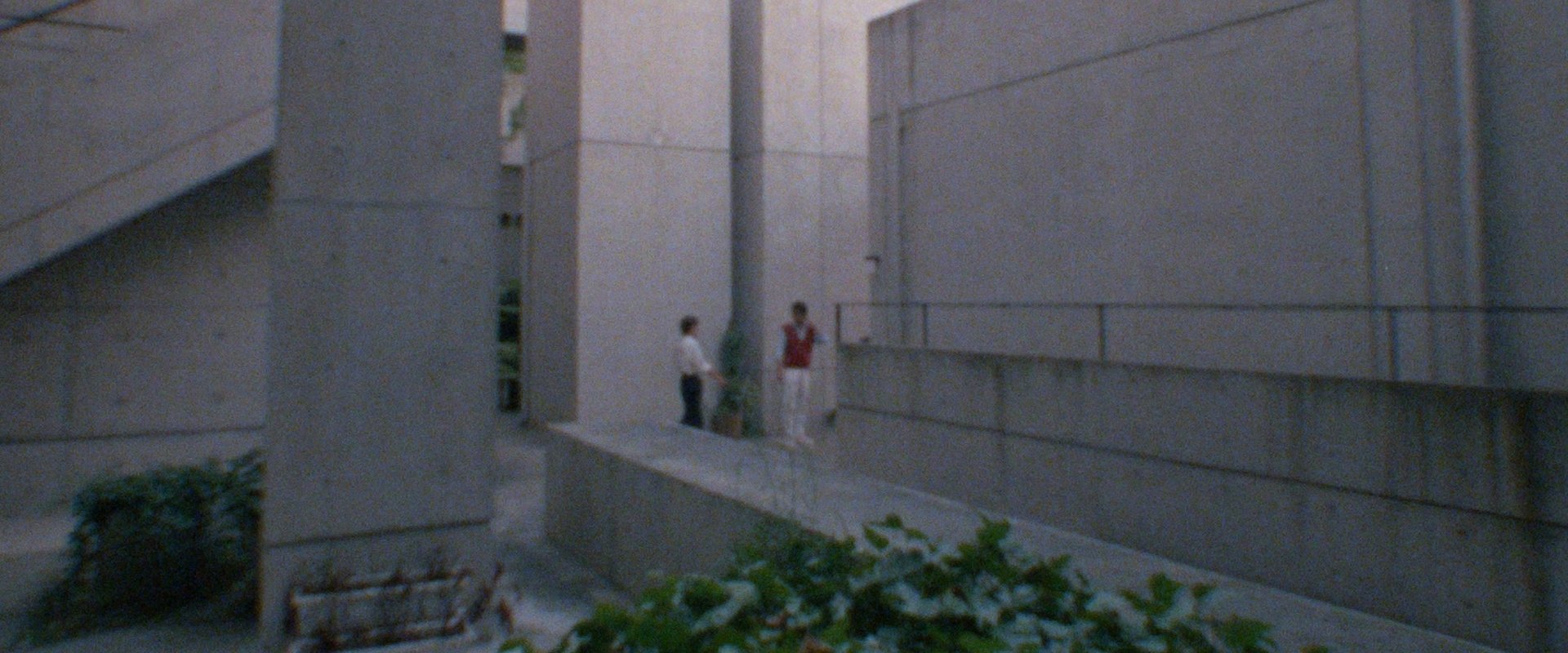 Tadao Ando