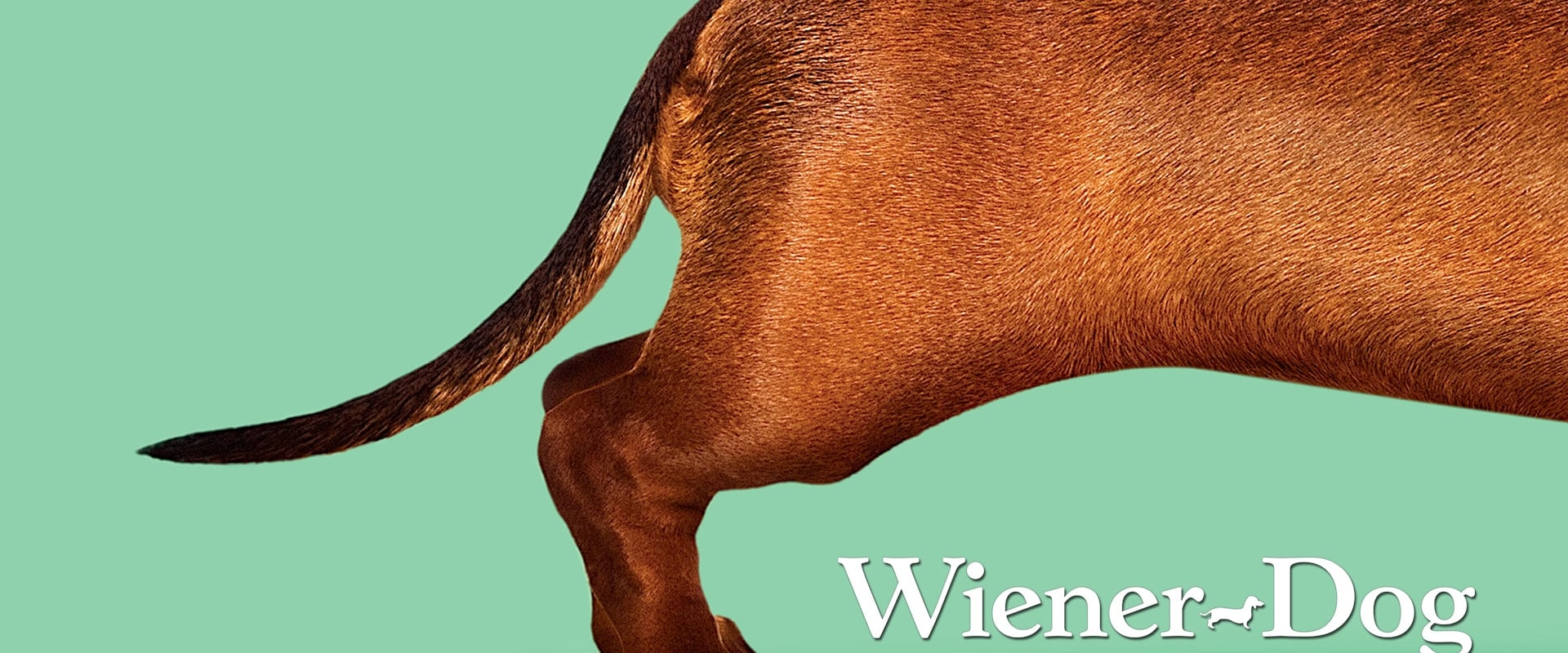 Wiener-Dog