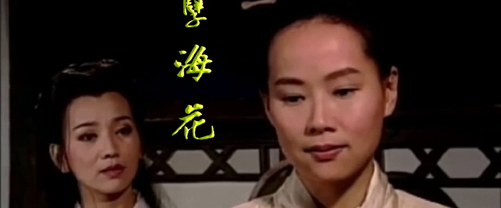 新孽海花传奇's banner image