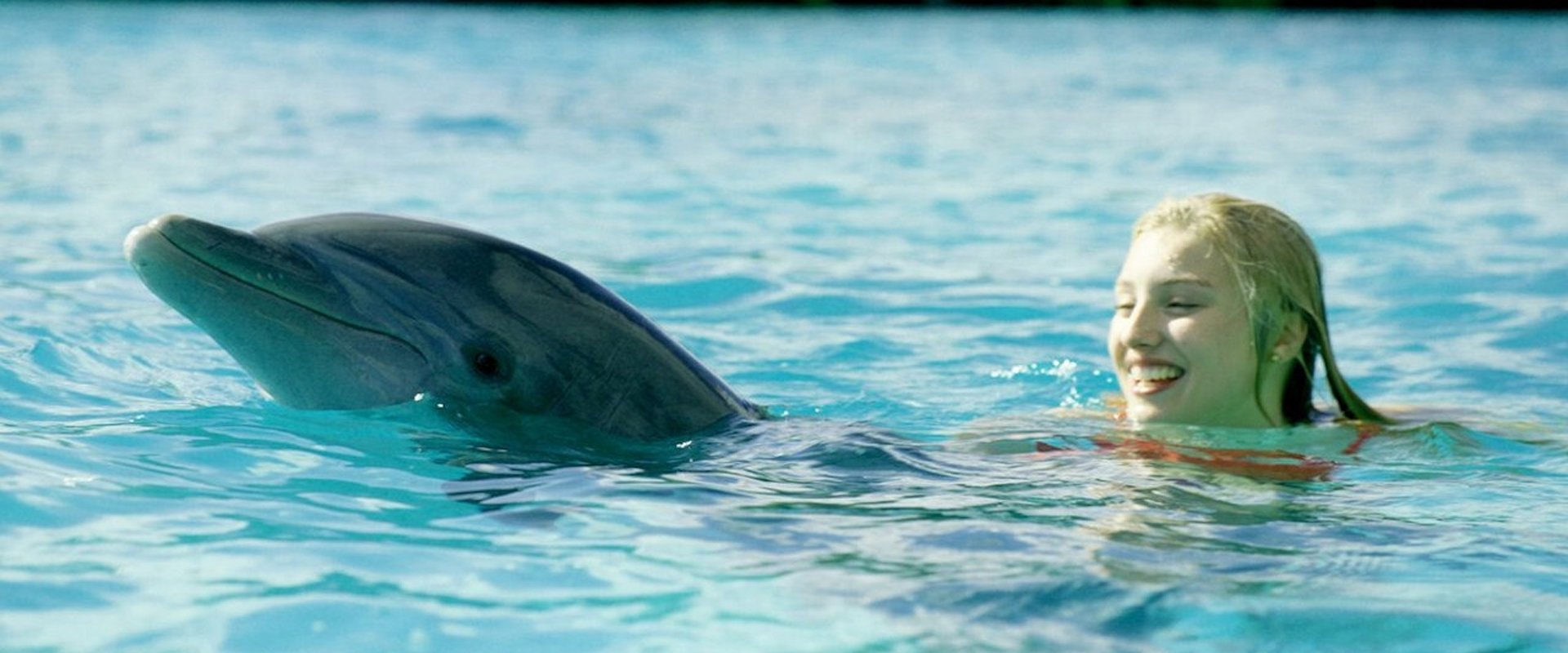 Dolphin Island
