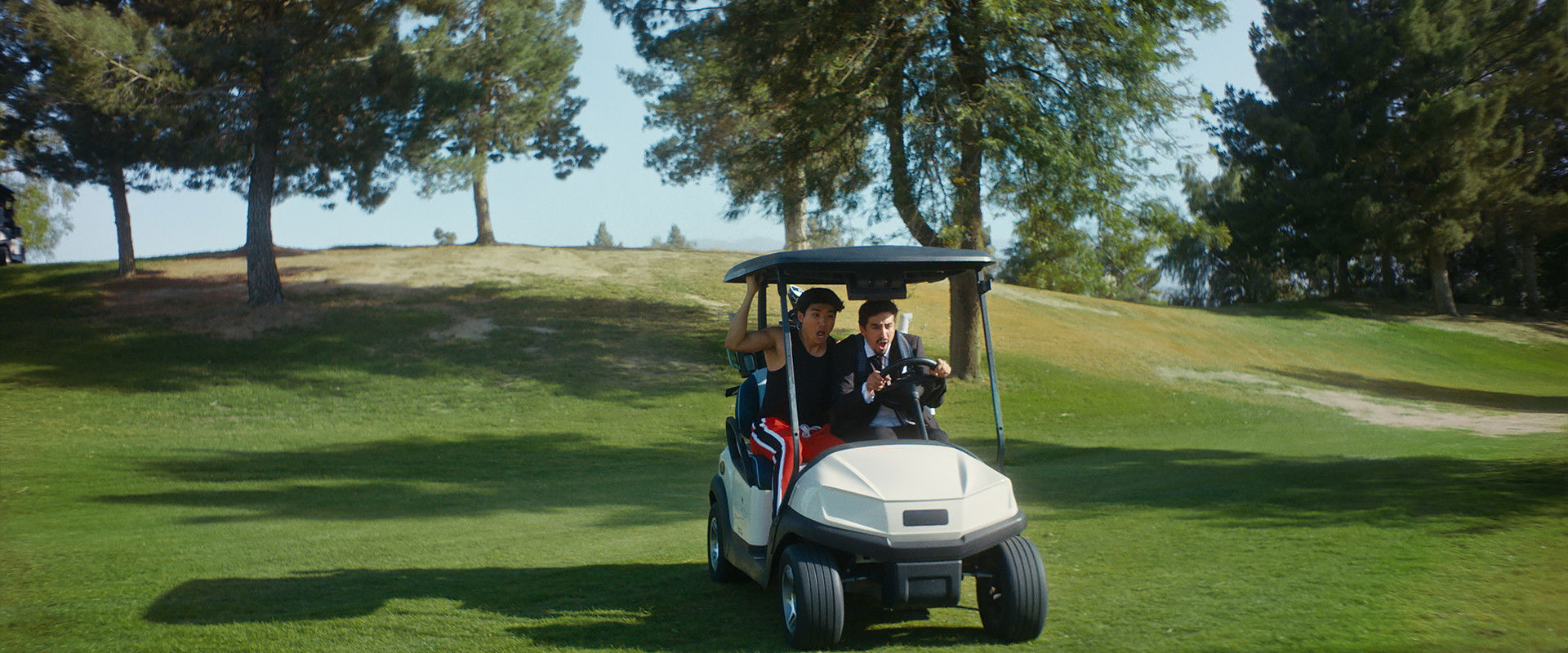 Violet Vendetta's banner image