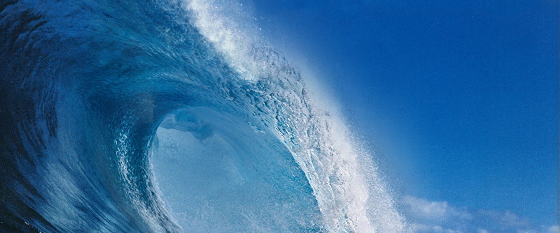 WCW Bash at the Beach 1999's banner image