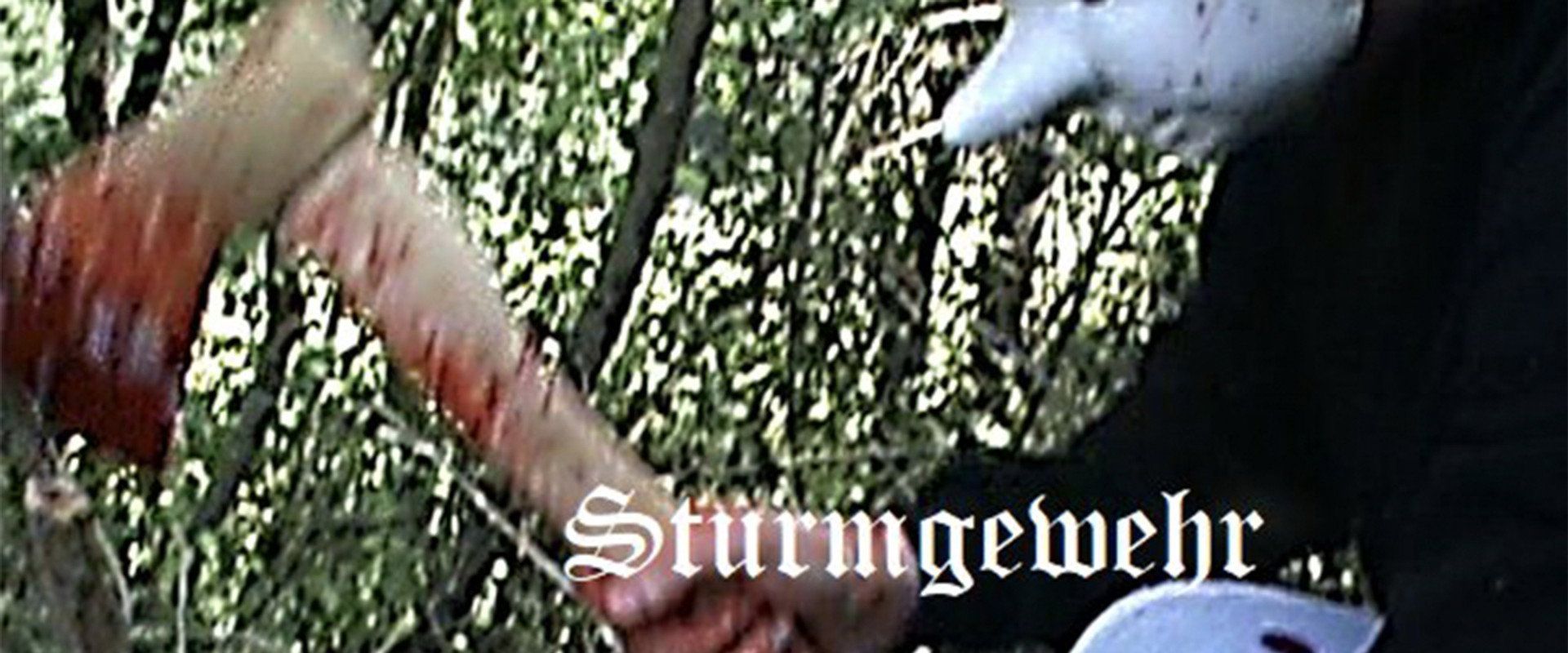 Sturmgewehr's banner image