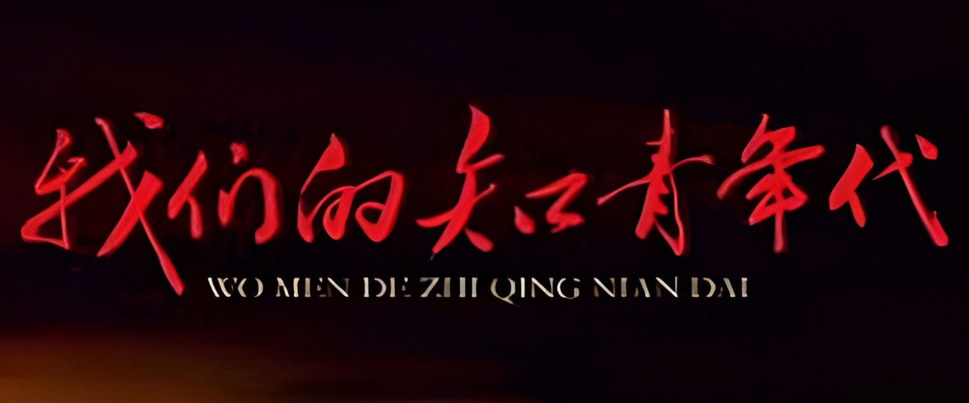 我们的知青年代