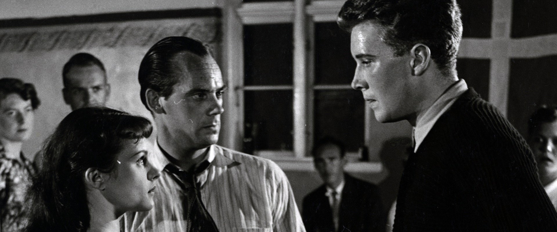 Ild og jord's banner image