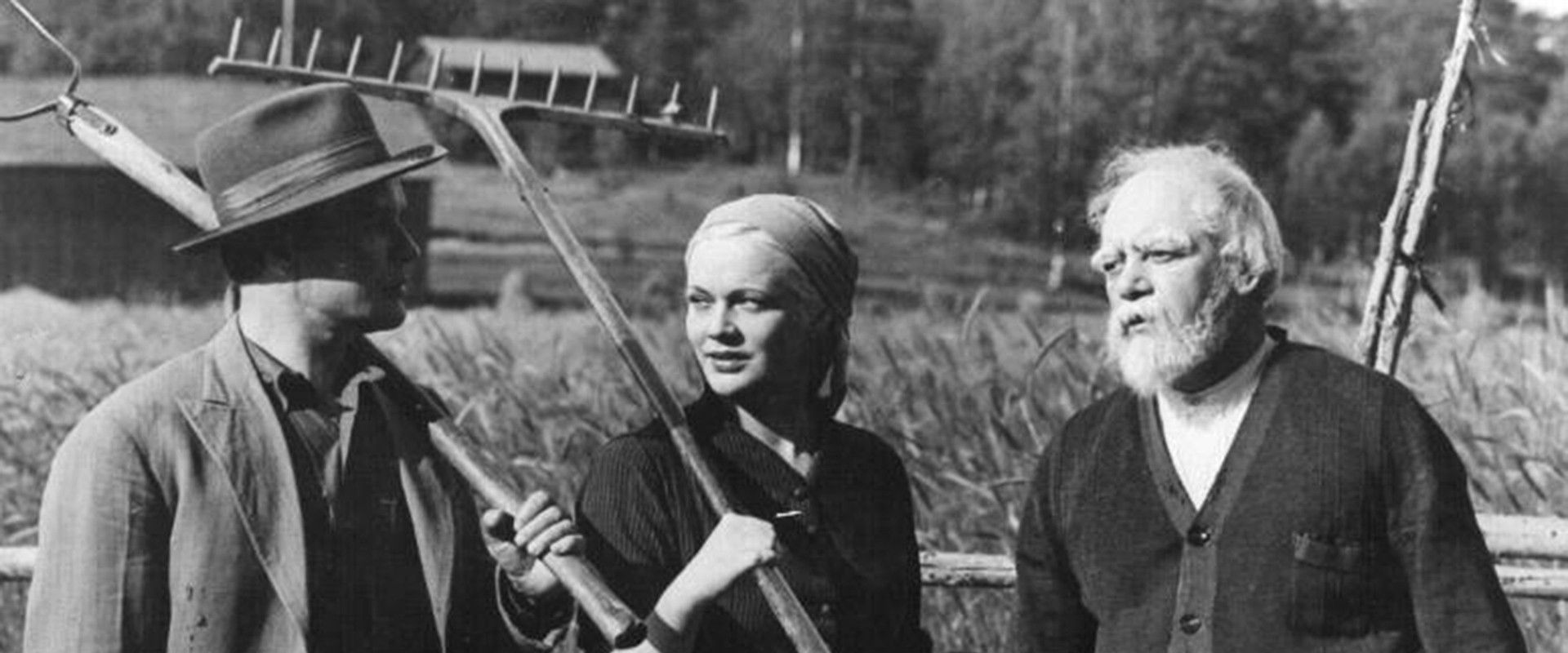 Vieras mies tuli taloon's banner image